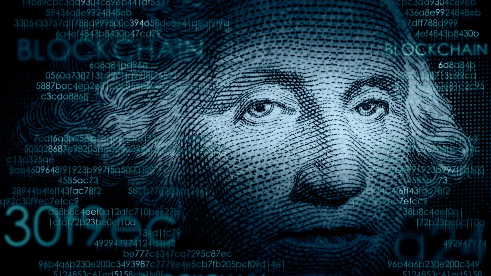Investir em dolar: guia completo para INICIANTES