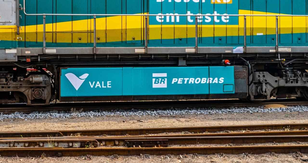 Fundos brasileiros perdem rali do Ibovespa e reforçam apostas contra Vale e Petrobras