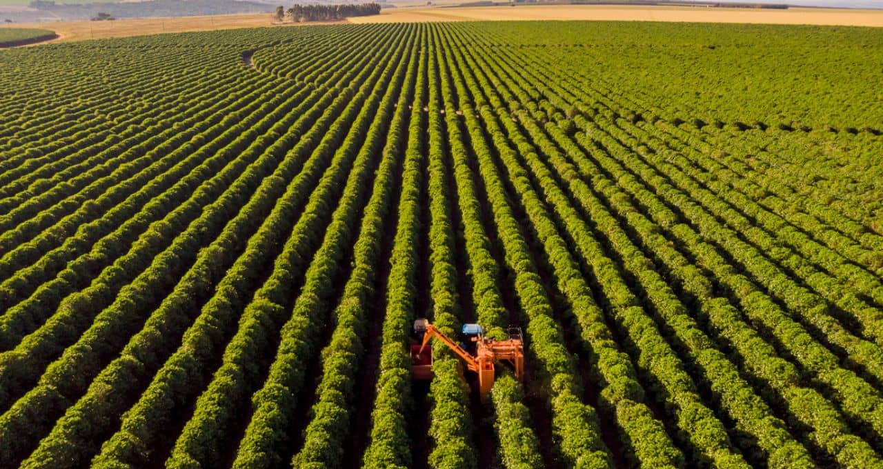 Banco do Brasil alcança R$ 3 bilhões em propostas de financiamento na Agrishow