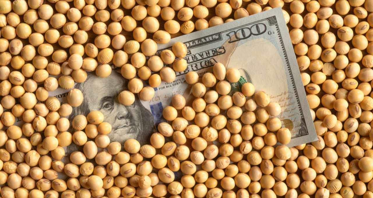 Soja, milho e trigo avançam em Chicago após alta de mais de 3% do petróleo