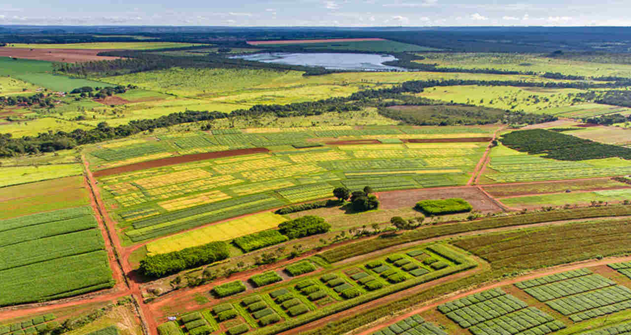 Governo empurra para 2027 regra que restringe crédito rural a propriedades com desmate recente 4 Governo empurra para 2027 regra que restringe crédito rural a propriedades com desmate recente