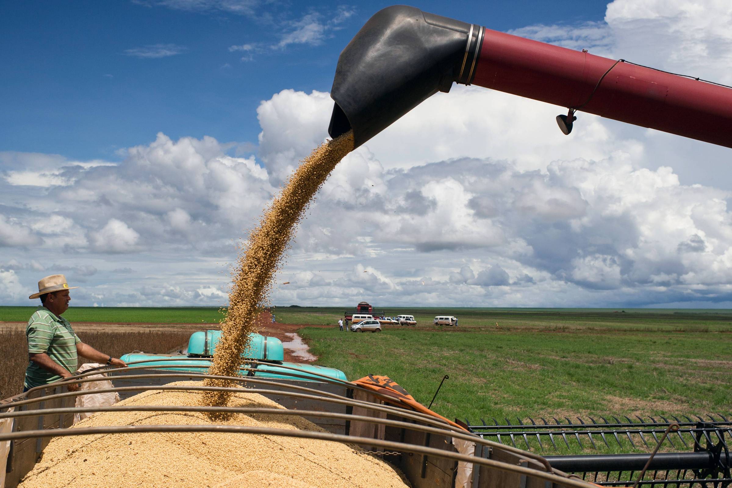 Safra recorde de soja sustenta alta de 0,7% no PIB do agronegócio no 1º trimestre