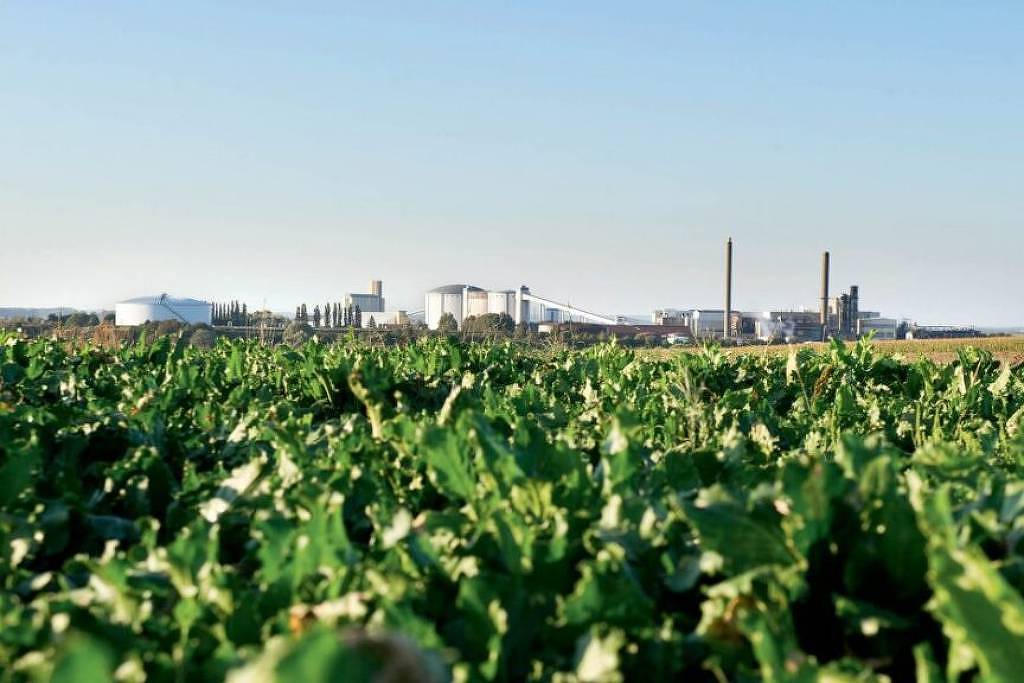Grupo Itajobi aciona Justiça para negociar dívida de R$ 3,7 bi em meio à pressão no setor sucroenergético