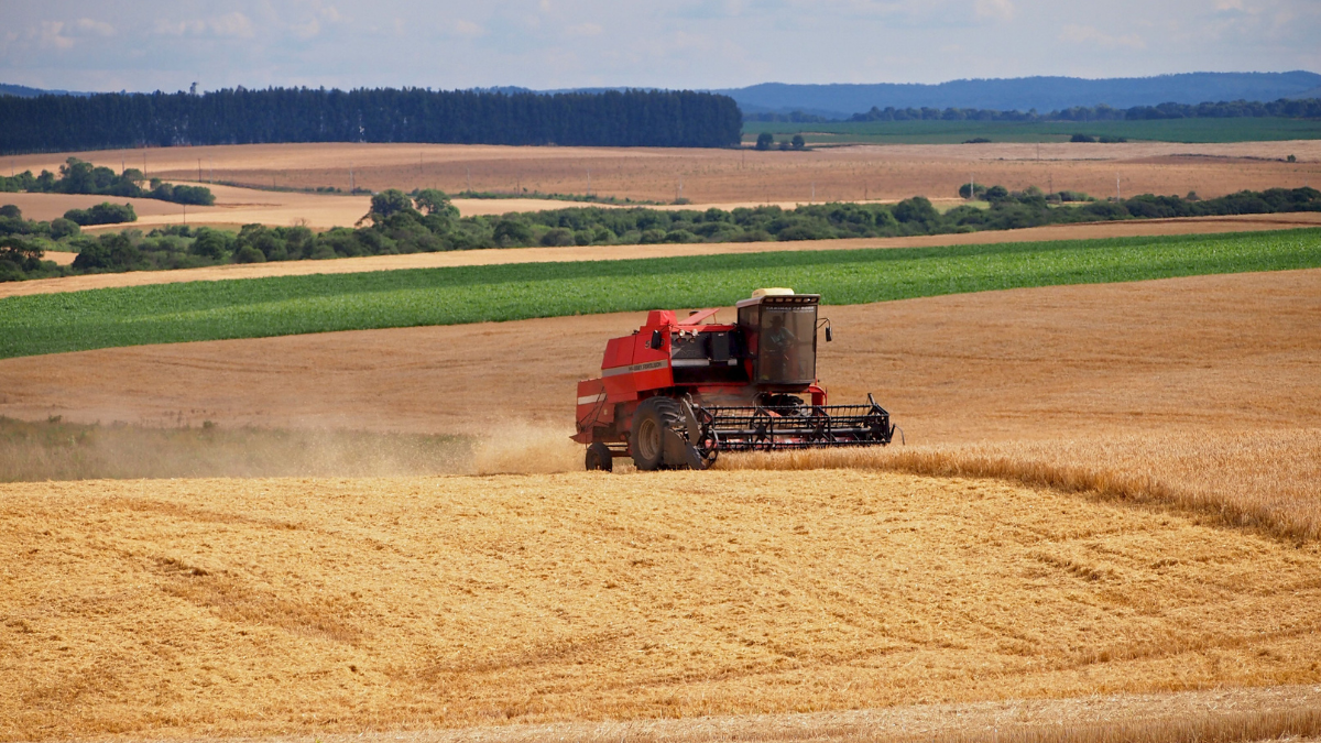 Fiagros disparam em 2026 e já somam R$ 5,8 bi em captação; entenda o que atrai o investidor ao agro