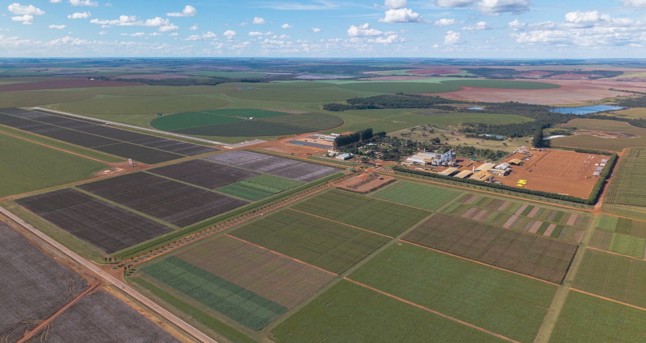 SLC Agrícola (SLCE3) aprova R$ 515,48 milhões em títulos para financiar o agronegócio