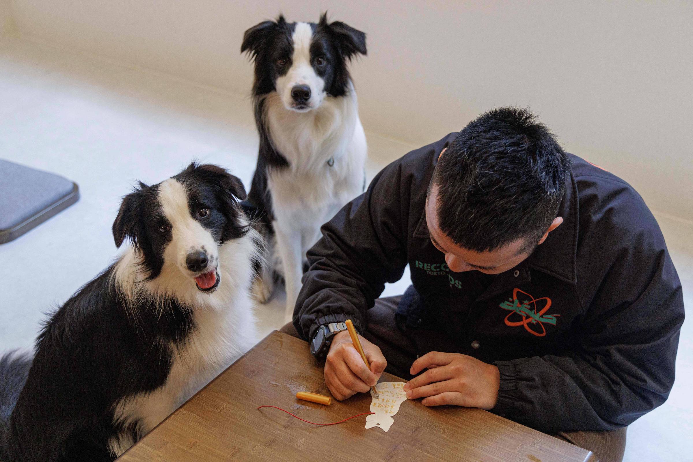 Mapfre passa a oferecer assistência 24 horas para pets vinculada ao seguro residencial
