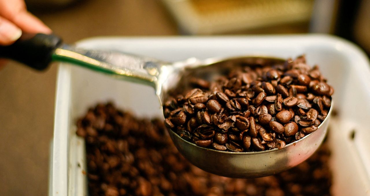 Futuros do café robusta avançam e se afastam das mínimas de oito meses na ICE