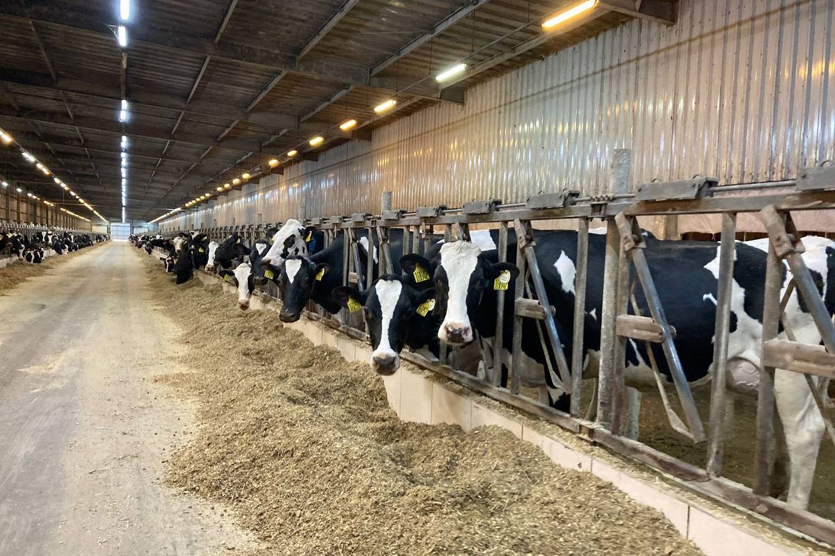 Brasil fica fora da lista sanitária da UE e vê risco para exportações de carne bovina