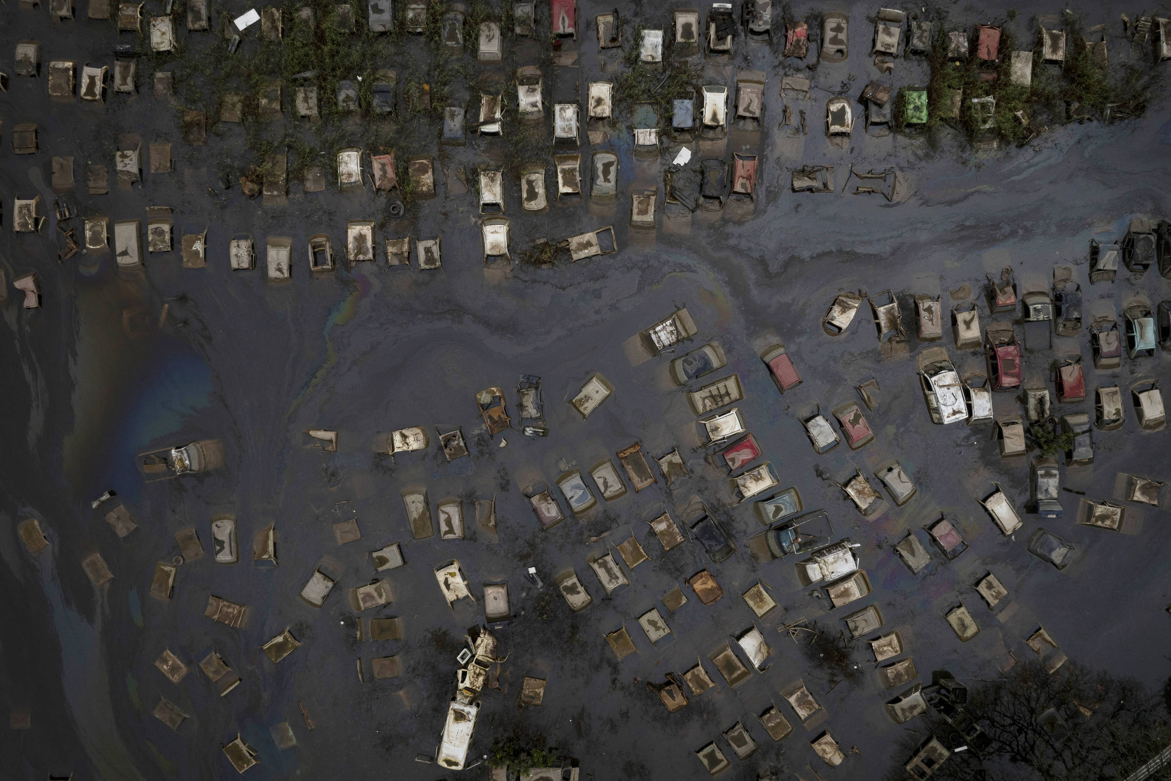 Seguradoras brasileiras ajustam preços e equipes diante do El Niño, que pode multiplicar sinistros