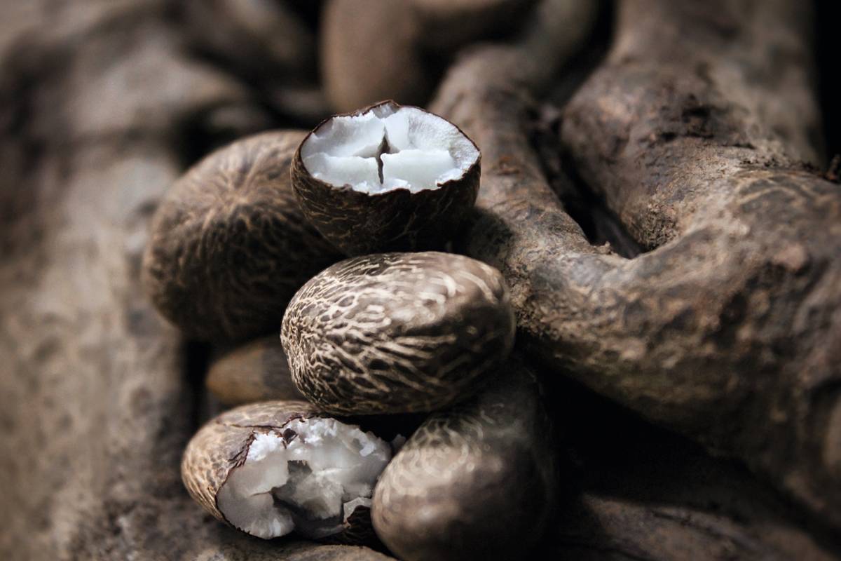 Natura lança braço B2B para comercializar bioativos da Amazônia a empresas de alimentos, fármacos e beleza