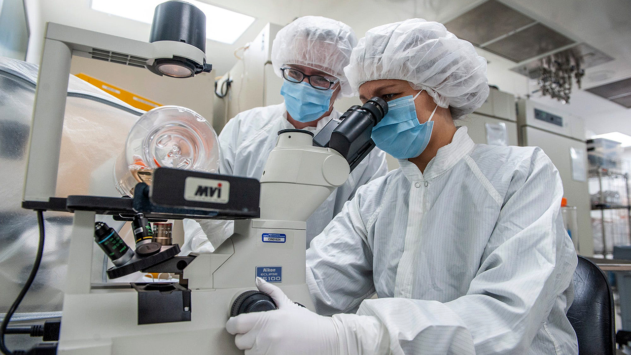 EUA apertam regras para fábricas de medicamentos estrangeiras e facilitam produção interna, diz FDA