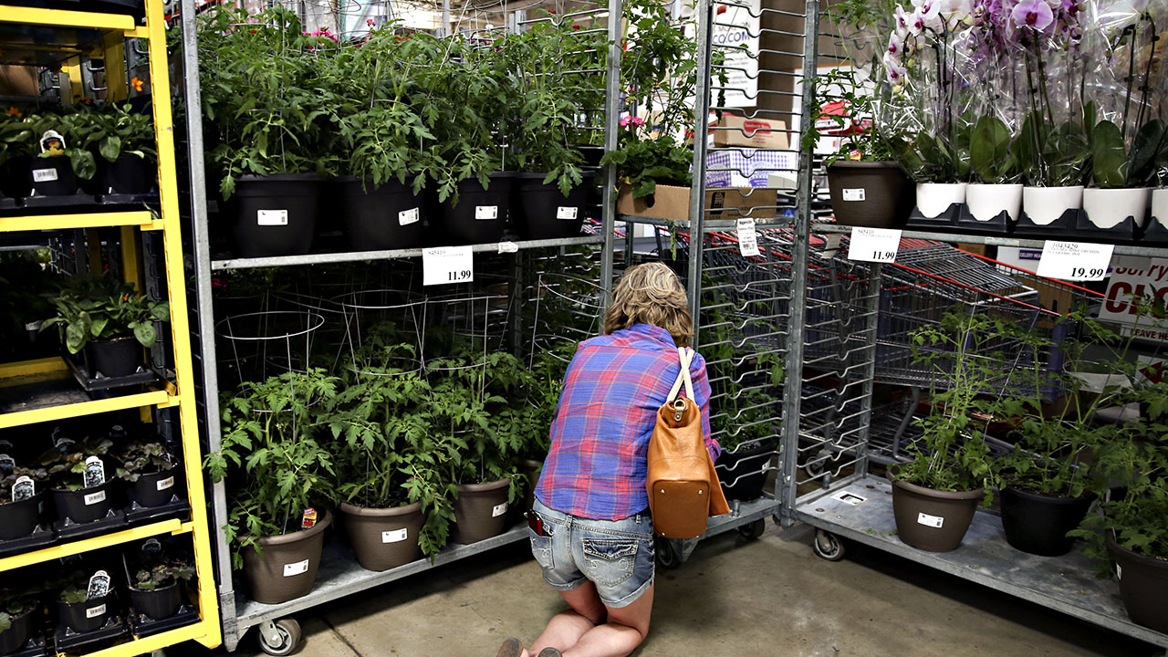 Praga em plantas vendidas pela Costco liga sinal de alerta para perdas no agronegócio dos EUA
