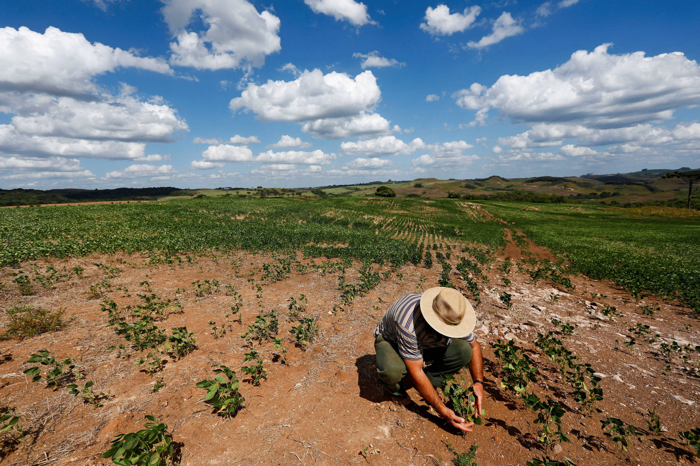 Clima já tirou R$ 200 bi do agronegócio brasileiro, calcula estudo do BID