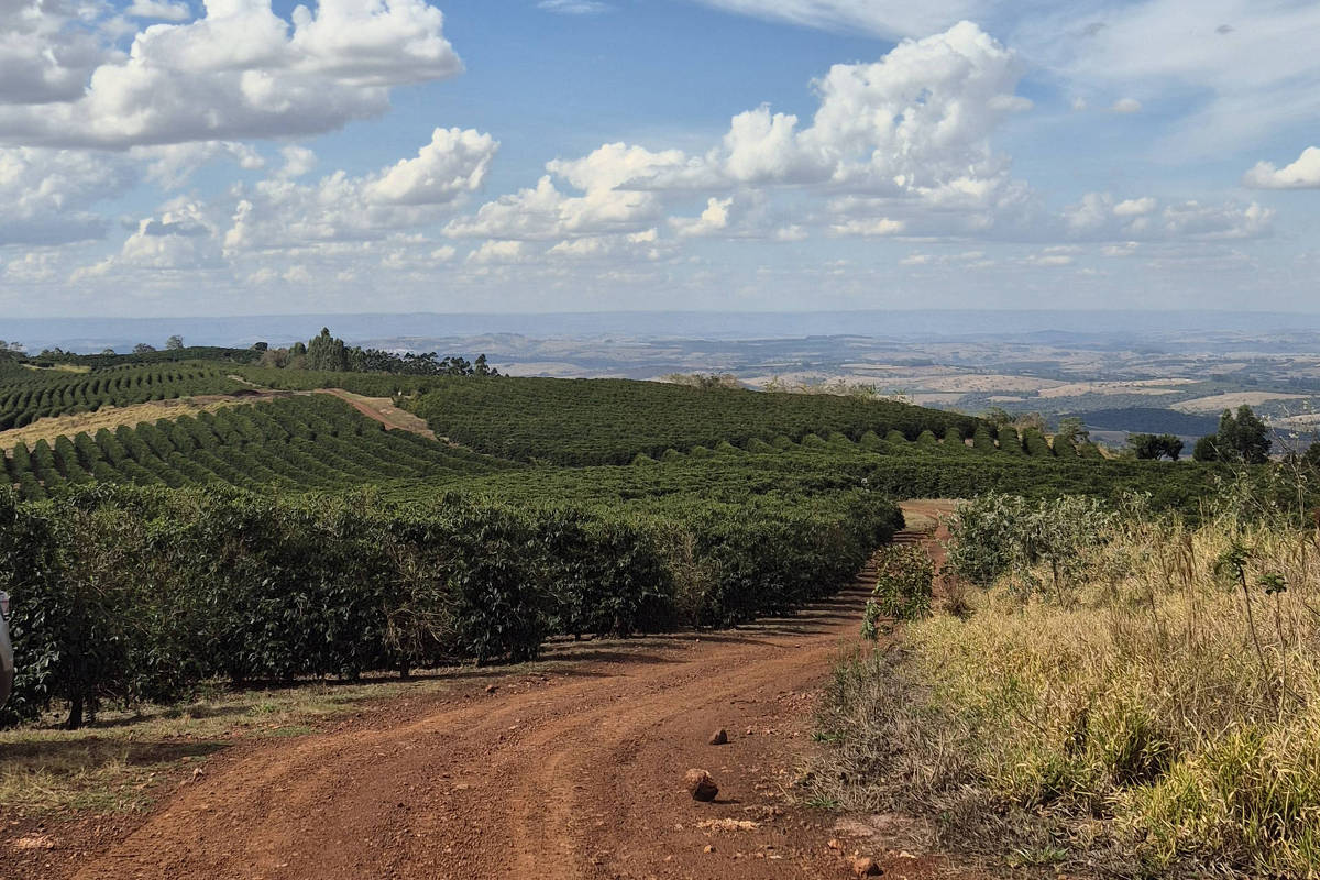 Seca histórica na Europa expõe vantagem financeira da agricultura regenerativa