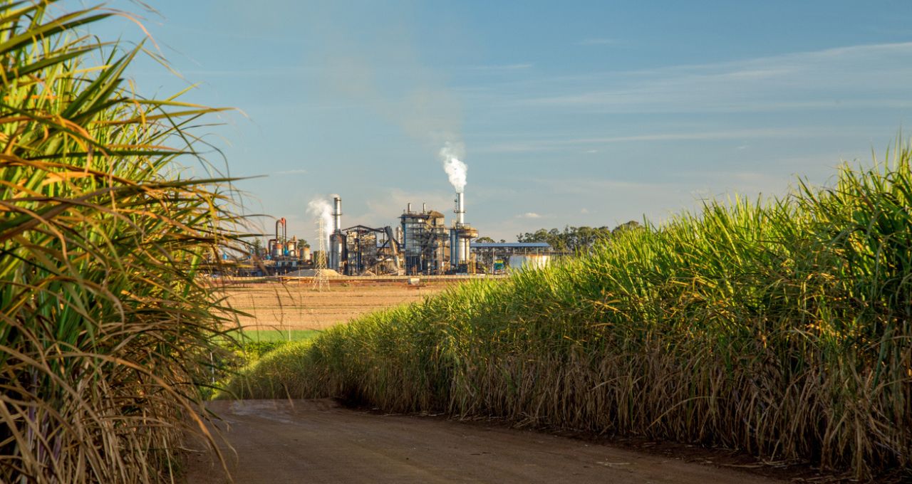 Disparo do petróleo reacende disputa entre etanol e açúcar e mexe com ações brasileiras