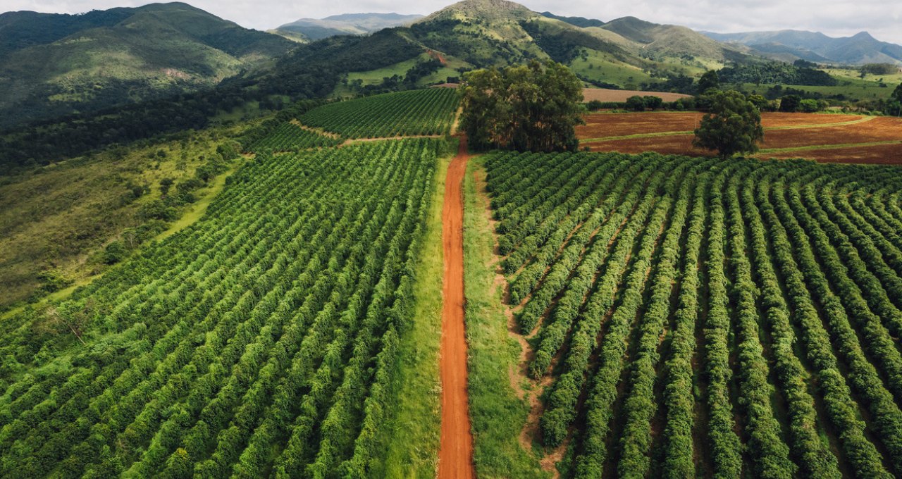 Leverage sozinha não basta: produtividade é chave para avaliar risco no agro, diz Agrolend