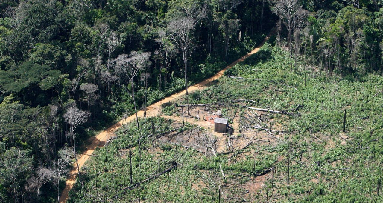 Desmatamento na Amazônia cai 36,87% e atinge menor nível da década