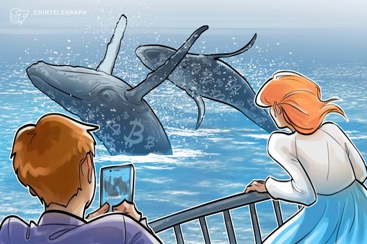Baleias de Bitcoin compram 61 mil BTC em um mês em meio a incertezas globais - Imagem do artigo original