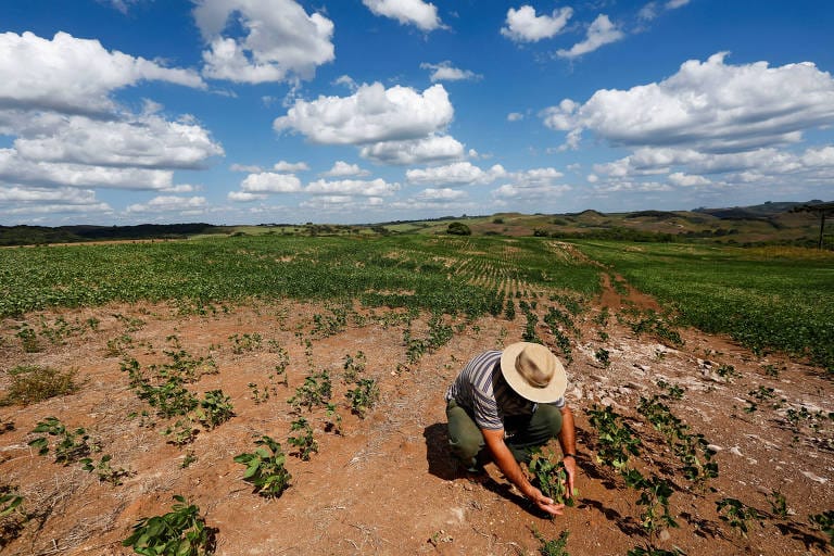 Clima já tirou R$ 200 bi do agronegócio brasileiro, calcula estudo do BID - Imagem do artigo original