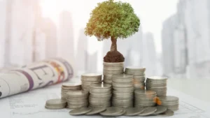 Tesouro Direto: Descubra como Multiplicar seu Dinheiro!