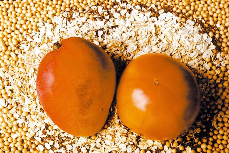 Produtores de manga, uva e açaí ficam fora de exceções a tarifa de 50% dos EUA e esperam novo acordo - Imagem do artigo original