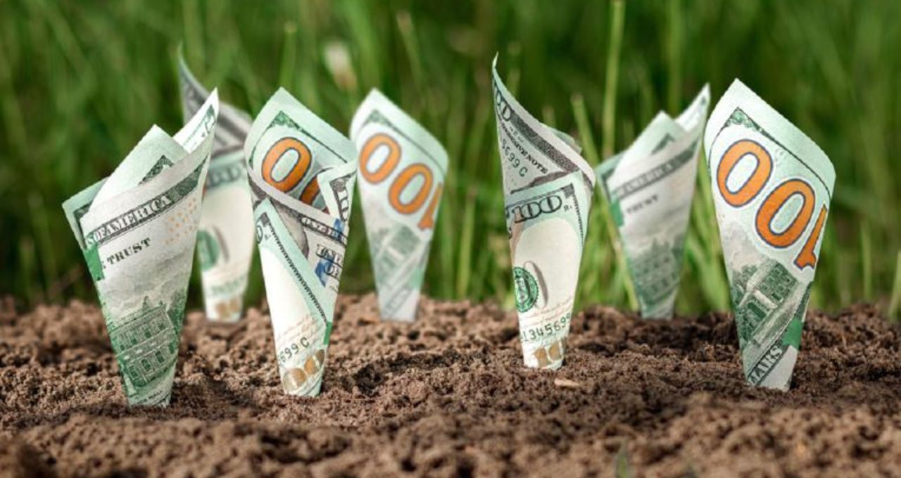 Fiagros: apenas 10 fundos registram ganhos em 2025 e rendem até 49,47%