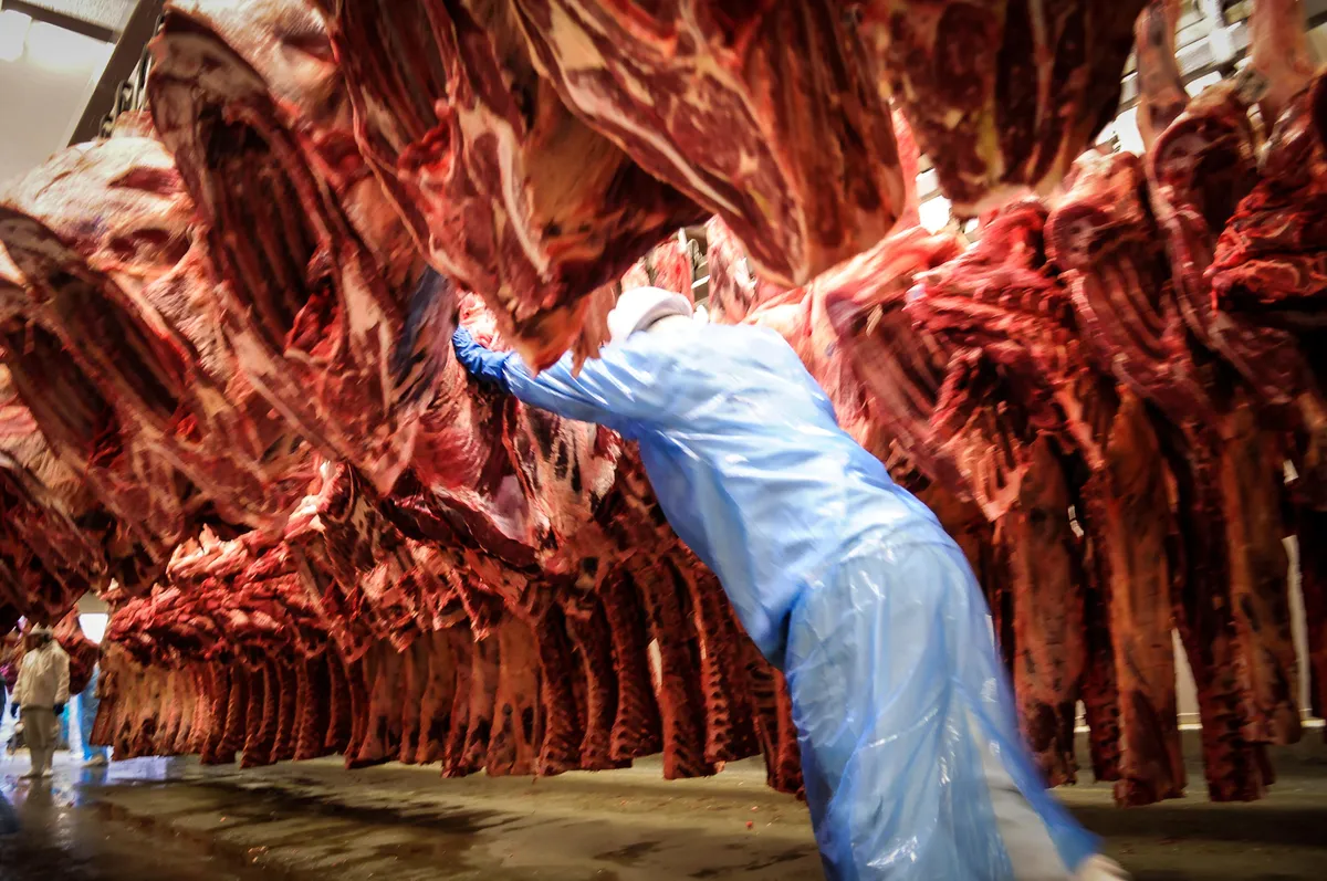 Exportadores brasileiros de carne preveem prejuízo de US$ 1 bilhão com tarifa de 50% nos EUA