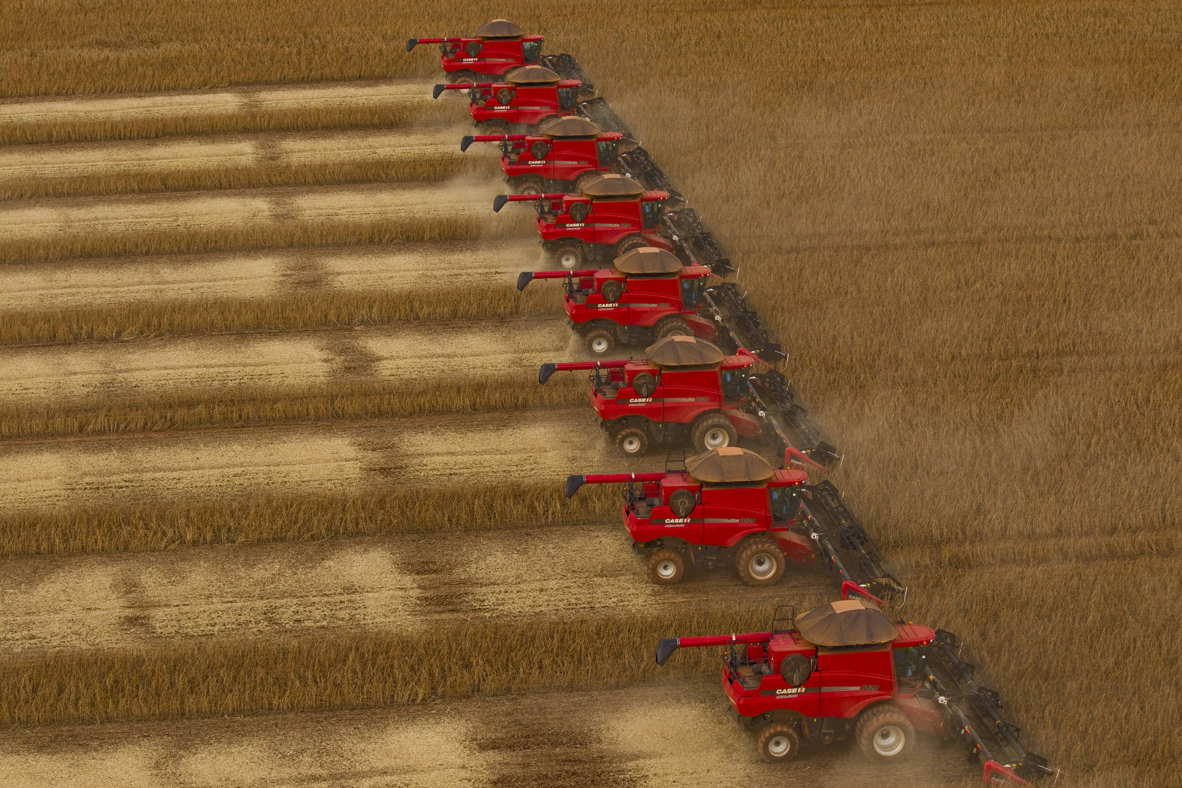 Vendas de máquinas agrícolas crescem 21%, mas tarifa de 40% dos EUA ameaça desempenho do setor