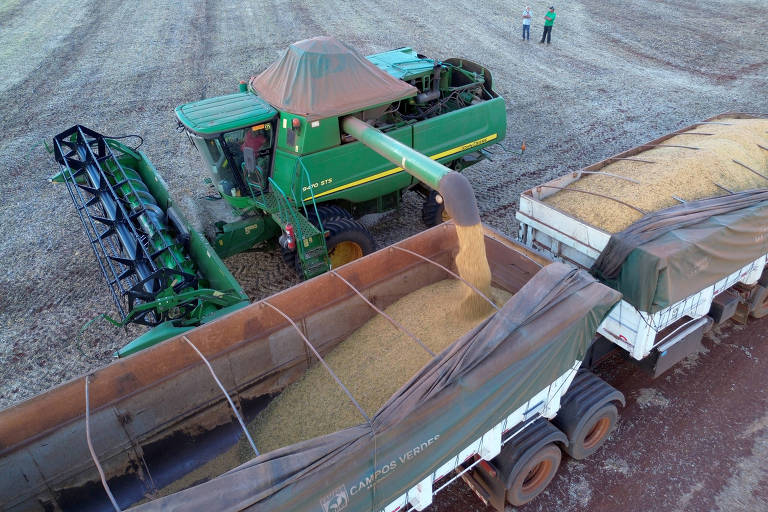Cargill interrompe exportação de soja brasileira para a China após novas exigências de inspeção - Imagem do artigo original