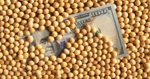 Soja, milho e trigo avançam em Chicago após alta de mais de 3% do petróleo