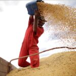 [Estratégias de investimento] Safra recorde não vira lucro: BB Investimentos vê custos corroendo margens de grãos e carnes