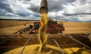 Fiagros retomam captações e preenchem vazio deixado pelos bancos no agro