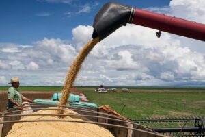 Safra recorde de soja sustenta alta de 0,7% no PIB do agronegócio no 1º trimestre
