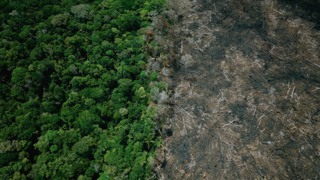 [Mercado Financeiro] EUA propõem tarifa de 25% a produtos brasileiros e ligam medida ao avanço do desmatamento na Amazônia
