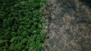 EUA propõem tarifa de 25% a produtos brasileiros e ligam medida ao avanço do desmatamento na Amazônia