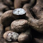 [Mercado Financeiro] Natura lança braço B2B para comercializar bioativos da Amazônia a empresas de alimentos, fármacos e beleza