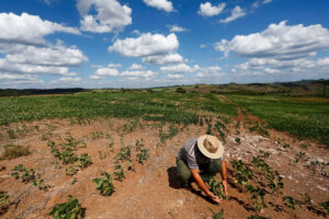 Clima já tirou R$ 200 bi do agronegócio brasileiro, calcula estudo do BID