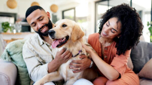 CVS entra no mercado pet: farmácias dos EUA passam a oferecer medicamentos para cães e gatos