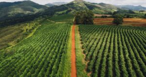 Leverage sozinha não basta: produtividade é chave para avaliar risco no agro, diz Agrolend